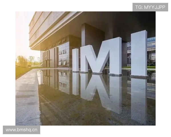 IM体育网站安全可靠性分析保障玩家资金与信息安全的关键措施 IM体育网站安全可靠性分析保障玩家资金与信息安全的关键措施